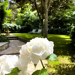 https://apartment-balthazar.in-istria.net